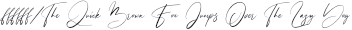 Steffyray preview for Steffyray Signature Font