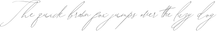 Example 4 of  Font