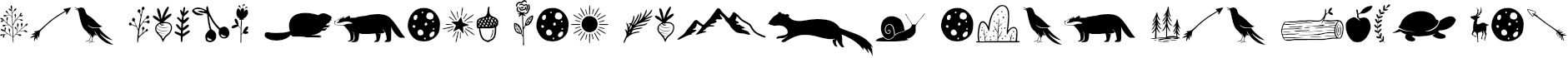 Example 4 of  Font
