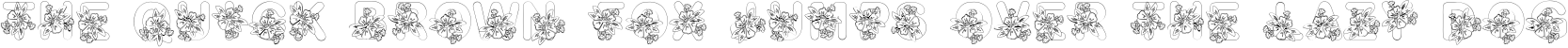 Example 1 of  Font