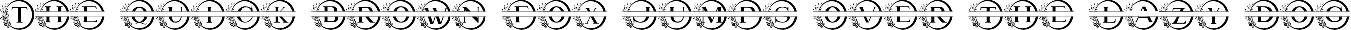 Example 1 of  Font