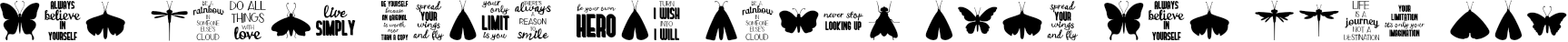 Example 1 of  Font