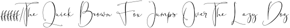 FanishSignature preview for Fanish Elegant Signature Font