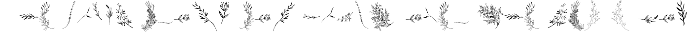 Example 3 of  Font