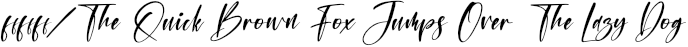 Montana Bright Italic preview for Montana Bright - Modern Signature Font