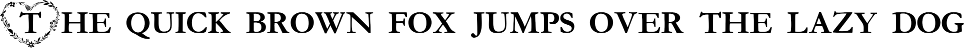 Example 5 of  Font
