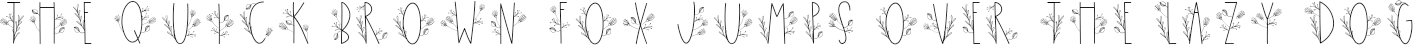 Example 1 of  Font