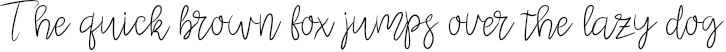Example 1 of  Font